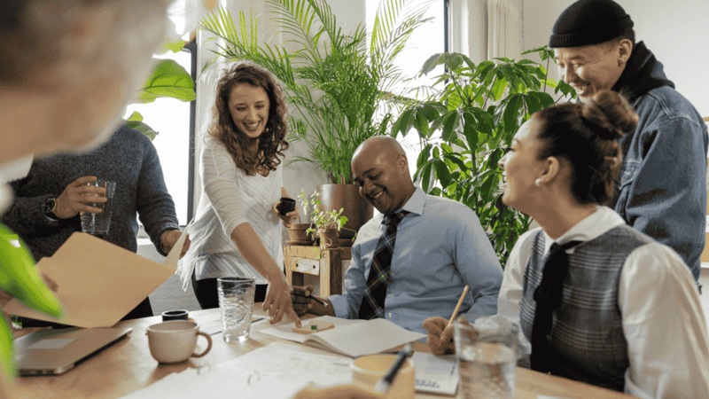 FInd the right peo with dinsmore steele